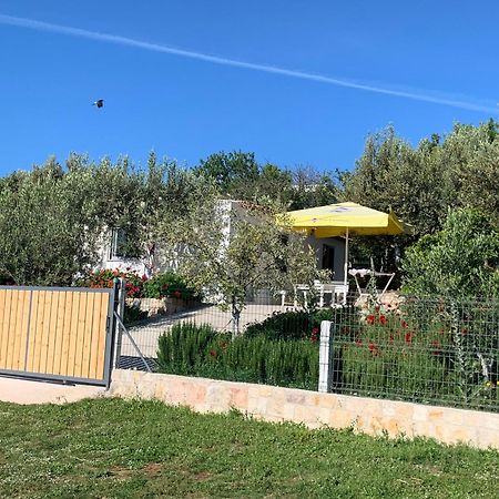 Villas Ermali 卡萨米尔 外观 照片