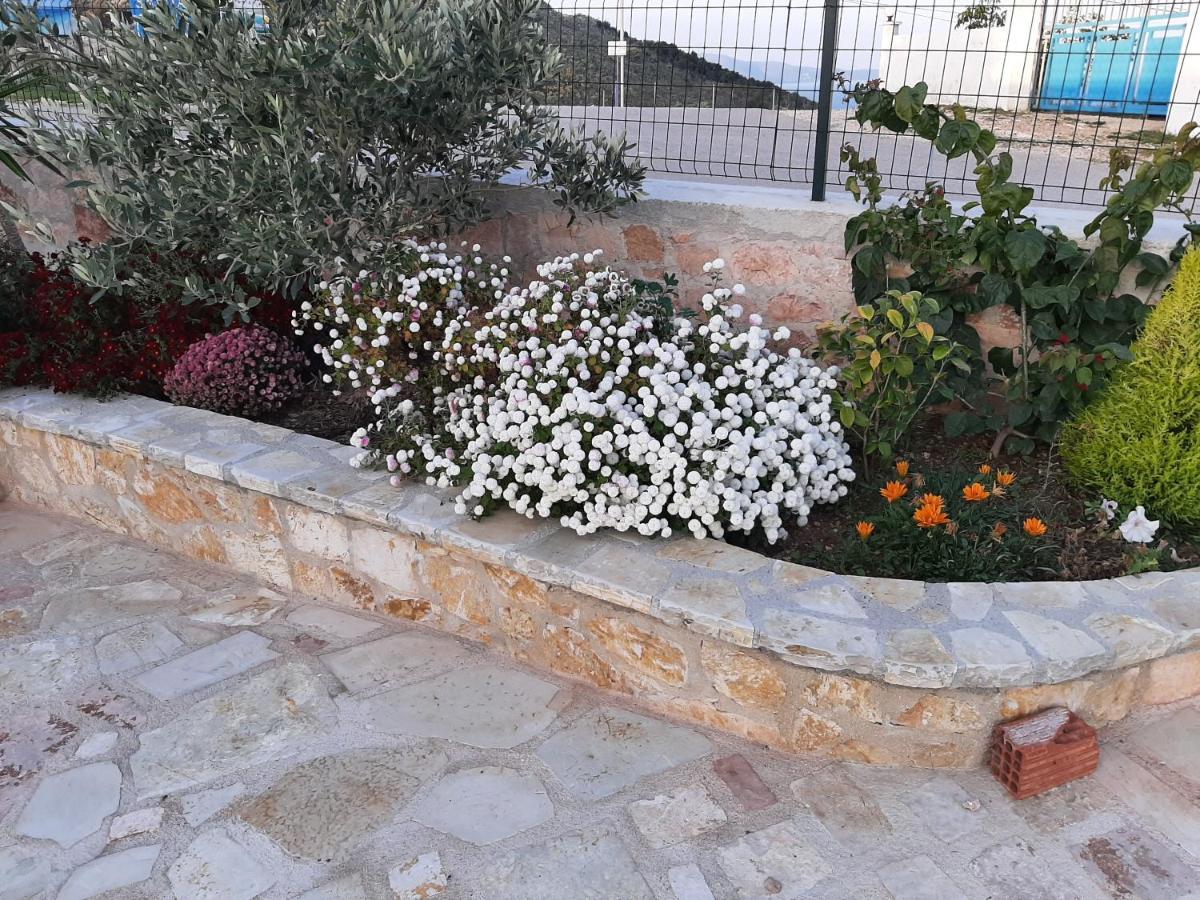 Villas Ermali 卡萨米尔 外观 照片