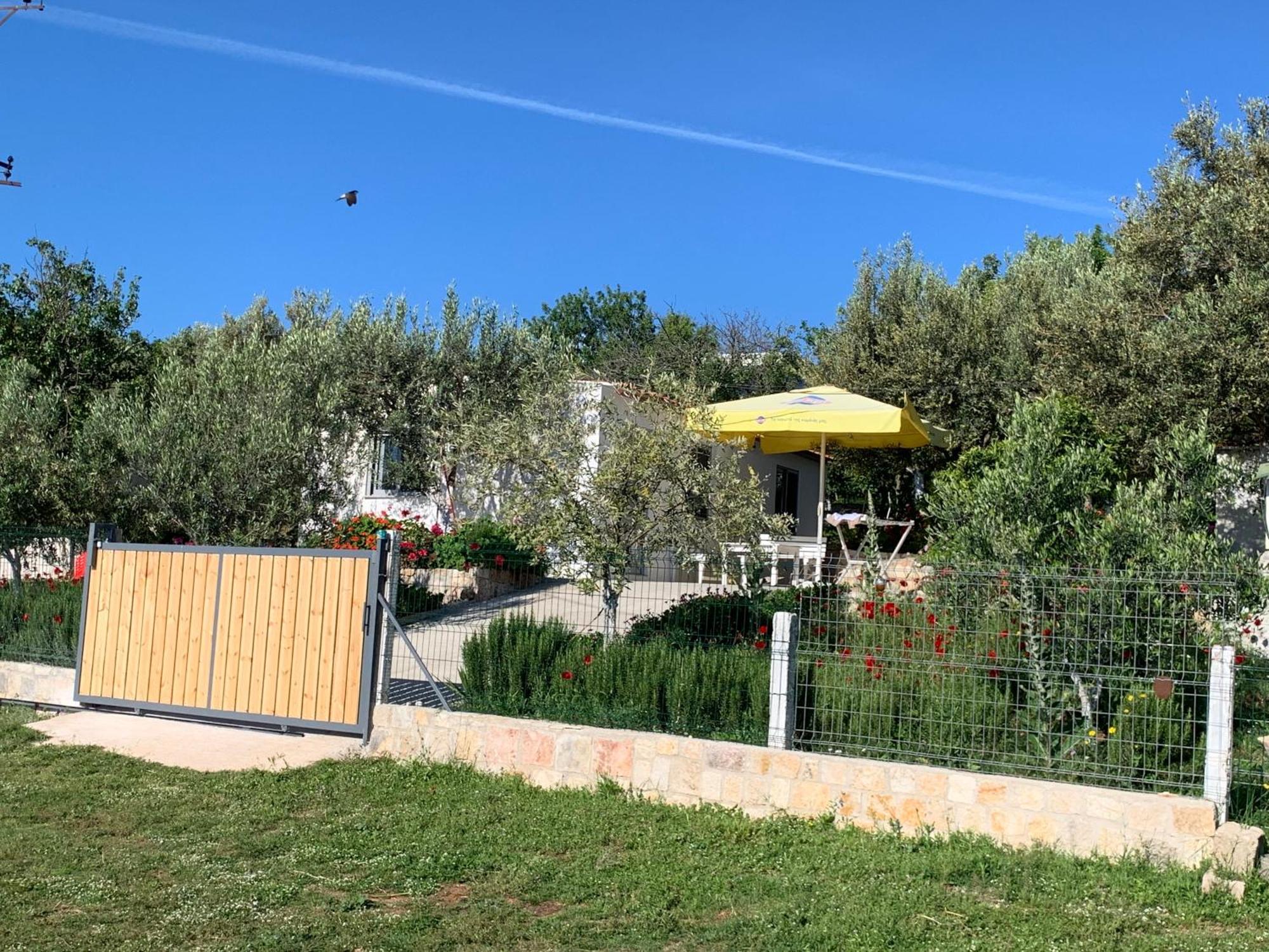 Villas Ermali 卡萨米尔 外观 照片